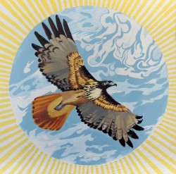 On the Whole Universe in All Directions