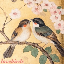 lovebirds