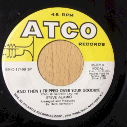 And Then I Tripped Over Your Goodbye / One Woman