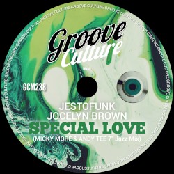 Special Love (Micky More & Andy Tee 7” Jazz Mix)