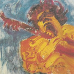 The Jimi Hendrix Concerts