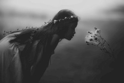Adoration Is the Devil in Your Eyes