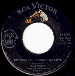 Nothing Can Change This Love