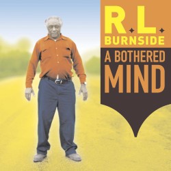 A Bothered Mind