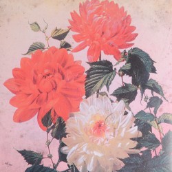 Brownshirts Drown in Glaciers' Rise