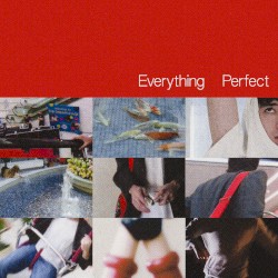 Everything Perfect