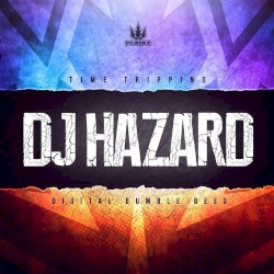 Time Tripping / Digital Bumble Bee