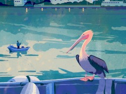 Sponge Dock Pelican