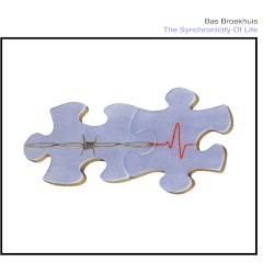 The Synchronicity of Life