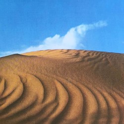 2019-04-24: Okonkole y trompa