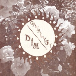 dim / catalyst split
