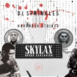 Skylax House Explosion (DJ Mix)