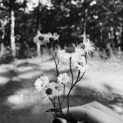 Jamie All Over (Acoustic)