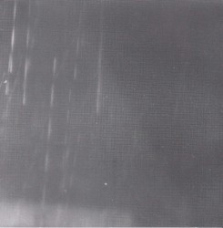 Where Is the Green Parrot?