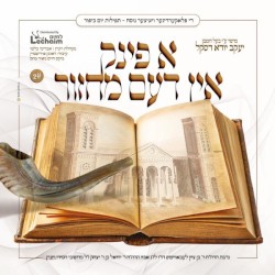 A Fink In Dem Machzor 2