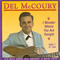 I Wonder Where You Are Tonight