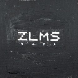 ZLMS