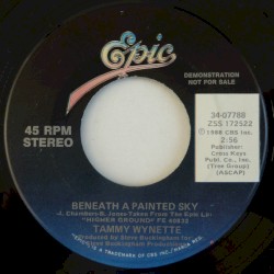 Beneath a Painted Sky