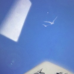 United in Flames 24/09/2019