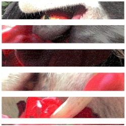 A baby girl named Heaven