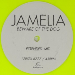 Beware of the Dog (extended mix)
