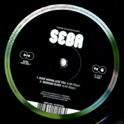 Don't Wanna Lose You