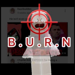 B.U.R.N (KAORIBUDDIES DISSTRACK)