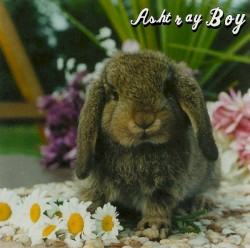 ... There's Your Heart