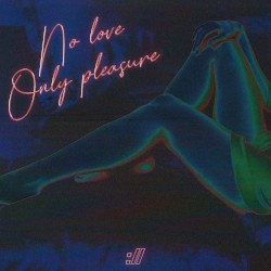 No Love Only Pleasure
