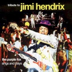 Tribute to Jimi Hendrix