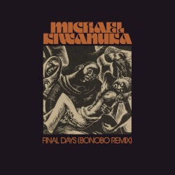 Final Days (Bonobo remix)