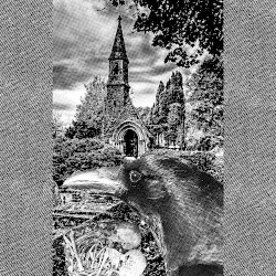 M.A.S.O.N.N.A. / Controlled Death