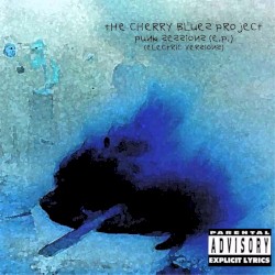 Punk Sessions: Electric