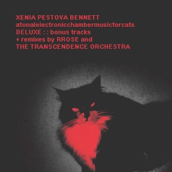Atonal Electronic Chamber Music for Cats