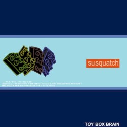 TOY BOX BRAIN