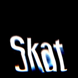 Skat 06