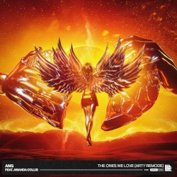 The Ones We Love (ARTY Remode)