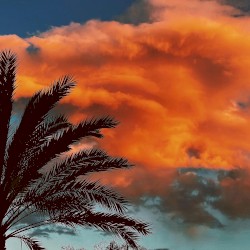 For What It’s Worth