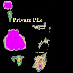 Private Pile
