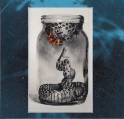 Night Erased Them All