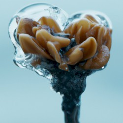 Looking Back / Because Of You