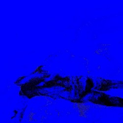 Come Out From the Shadows Volume 2