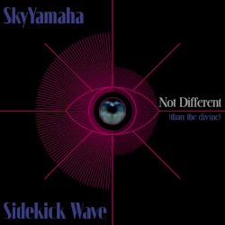 Not Different (From the Divine)