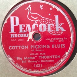 Cotton Picking Blues / They Call Me Big Mama