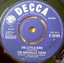 The Little Bird