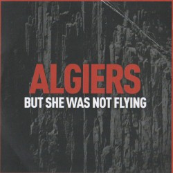 But She Was Not Flying