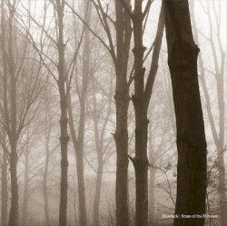 Scars of the Midwest