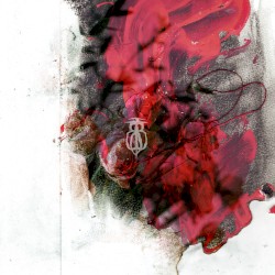 The Hallway Was Filled With Blood and Rose Petals