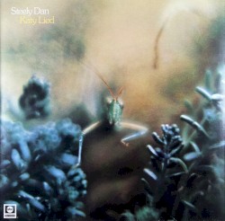 Katy Lied