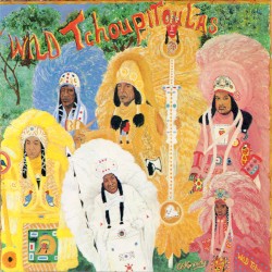 Wild Tchoupitoulas